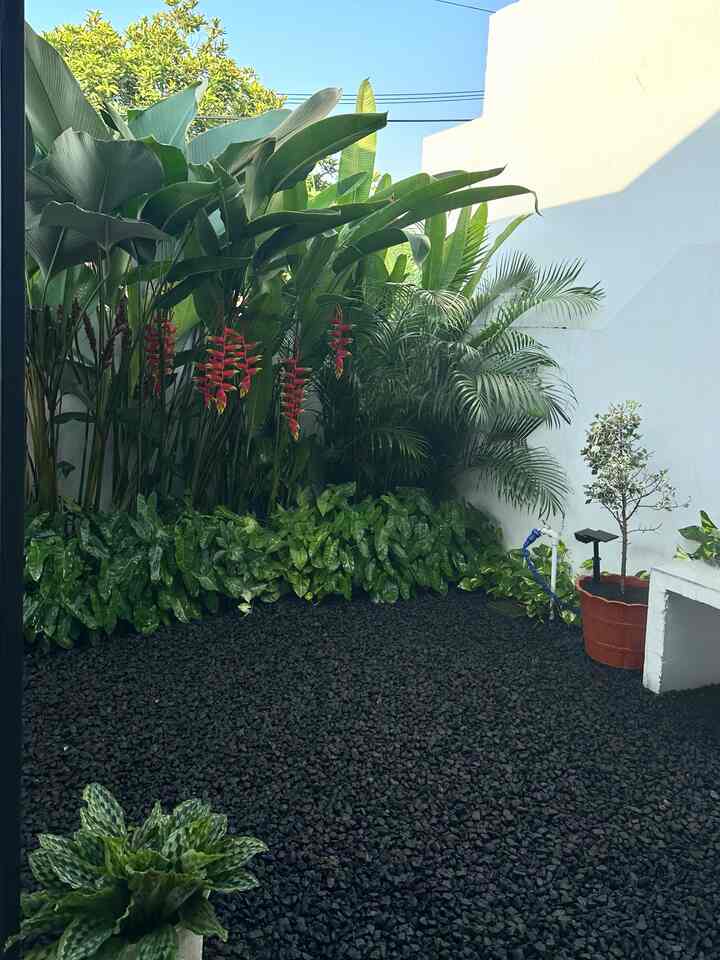 Mini tropical garden 🌴
Tanaman hijau di rumah, selain sebagai hiasan juga berperan penting dalam menyaring udara di rumah… Rasanya seger dan bikin adem gitu kalo rumah banyak tanaman nya 🌿

#tropicalhouse #minitropicalgarden #tamanrumah #tanamanhijau #tamankering #bogor