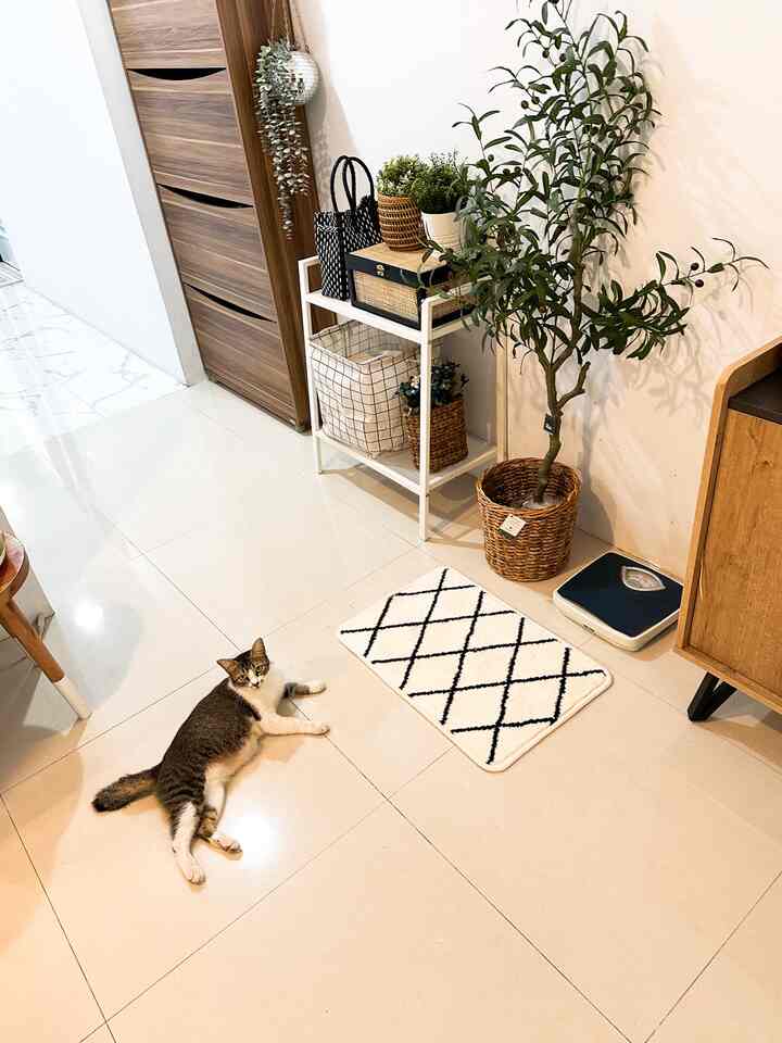 Bright white walls and beige tiled floor define a narrow entrance area featuring brown shoe cabinet and artificial plants creating a natural vibe
