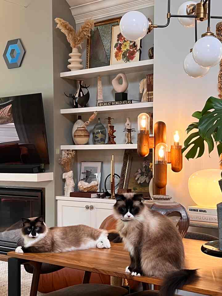 Celebrating a purrfectly #CozyFriday at home, wrapped in the warmth of my three furry companions 🐾🏠💕 There's nothing like snuggles, playful antics, and unconditional love from my fur babies! 🐶🐱🐾 #PetLove #FurFamily #WeekendBliss
