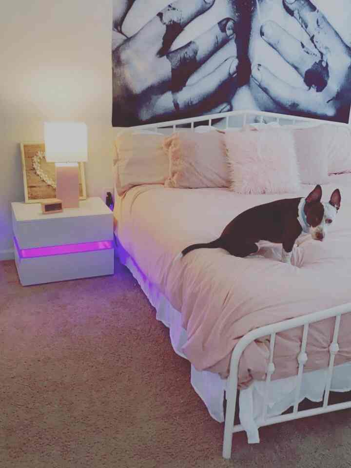 #bedroom #tapestry #girly 
My bedroom with the cutest kawaii and chic things for stulish chicks on a budget 