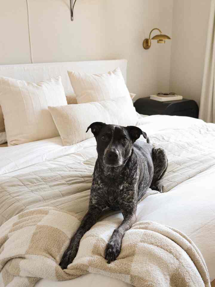 Beige and white toned bedroom featuring a bed with a dog in the center, creating a cozy rustic-style space