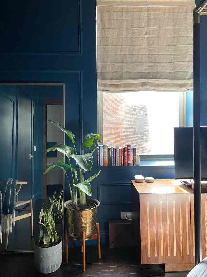 Modern living room space with deep navy walls, window, wooden cabinet, and two large plants arranged