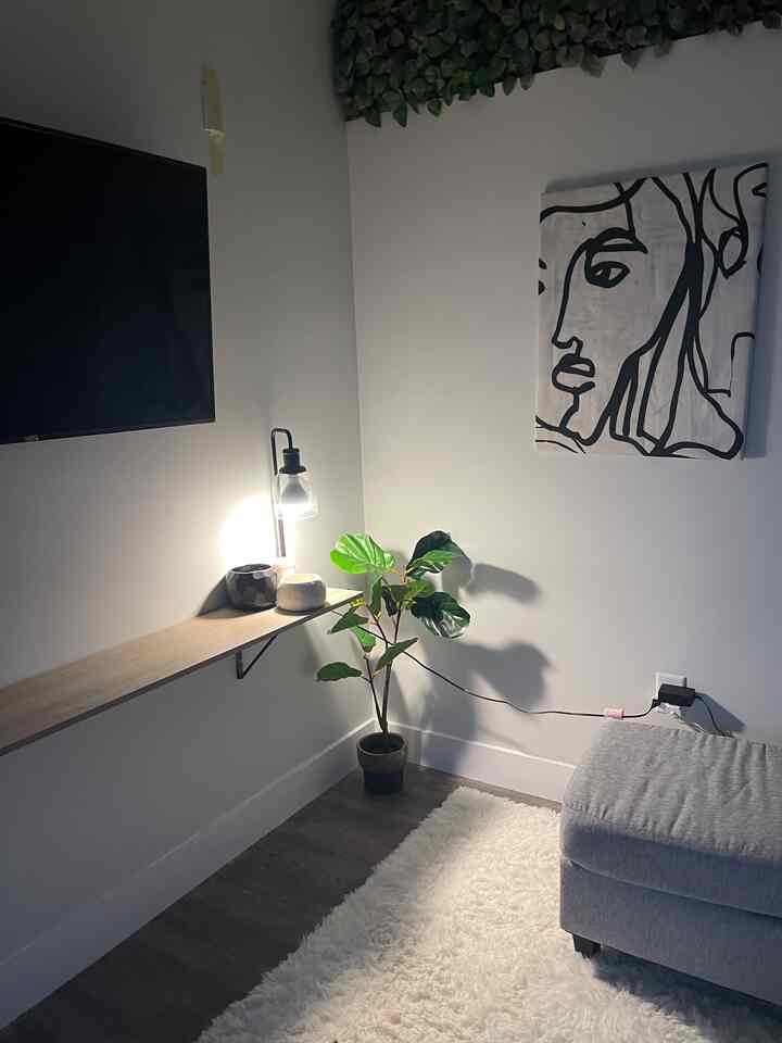 White and gray toned living room corner featuring lamp, plant, carpet, and ottoman with minimalist vibe