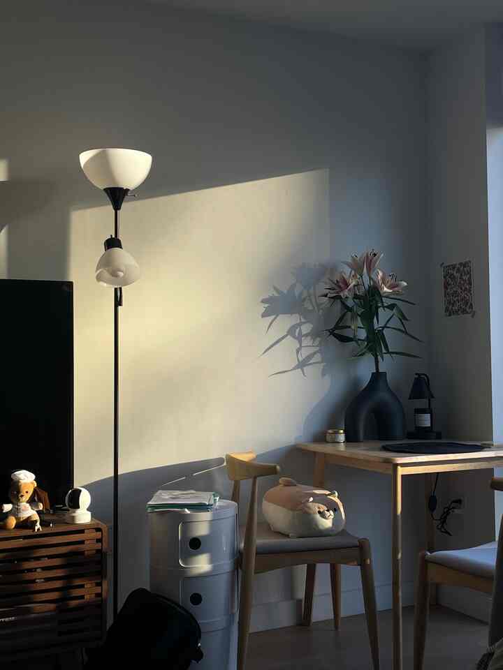 Golden hour hits right #livingroomstorage 