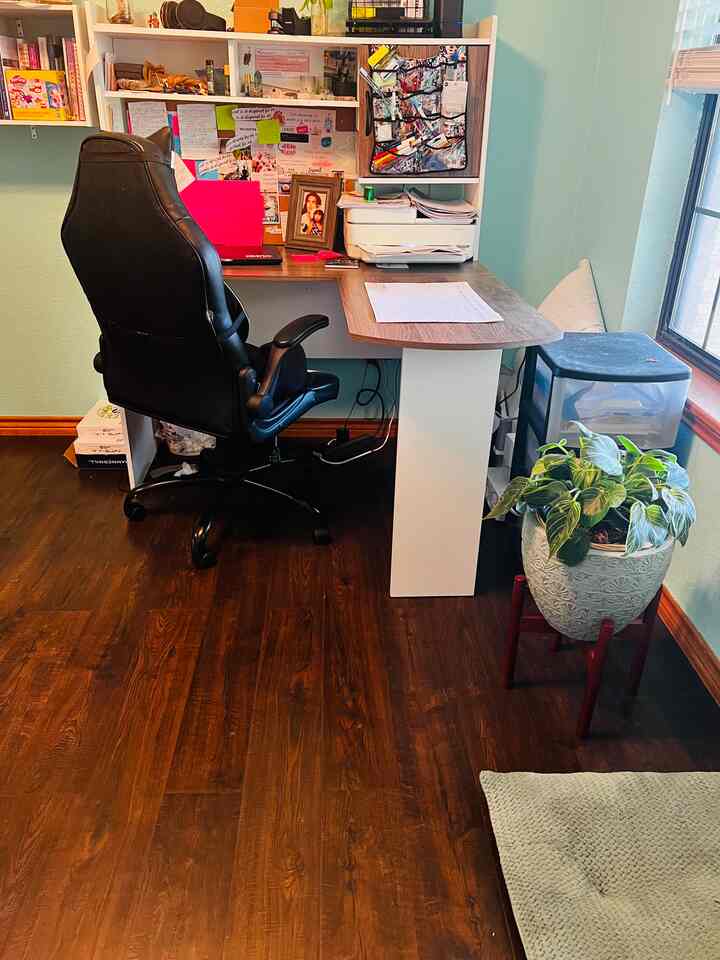 #homeoffice #comfort #companionplant #spacious
