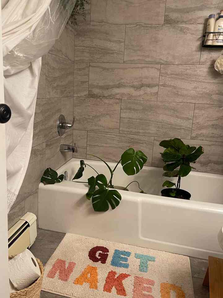 watering day for my plant babies🌿🩷 #apartmentliving #apartment #firstapartment 