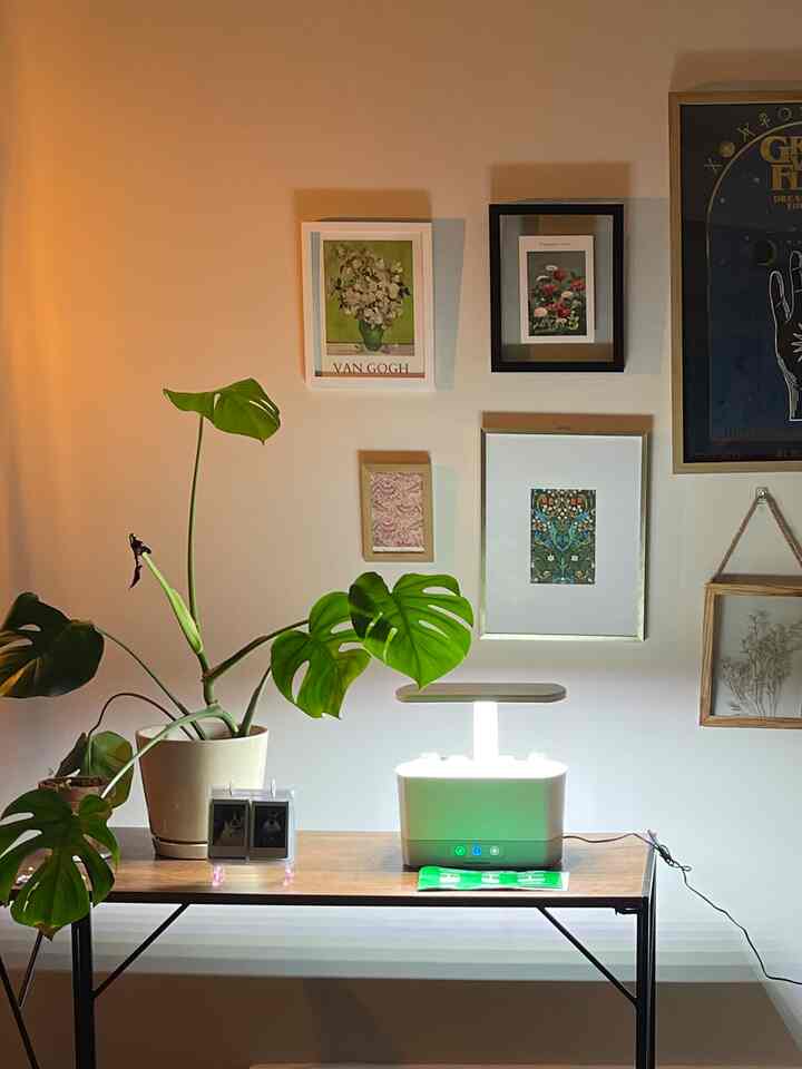 #apartmentinterior #apartmentspace 