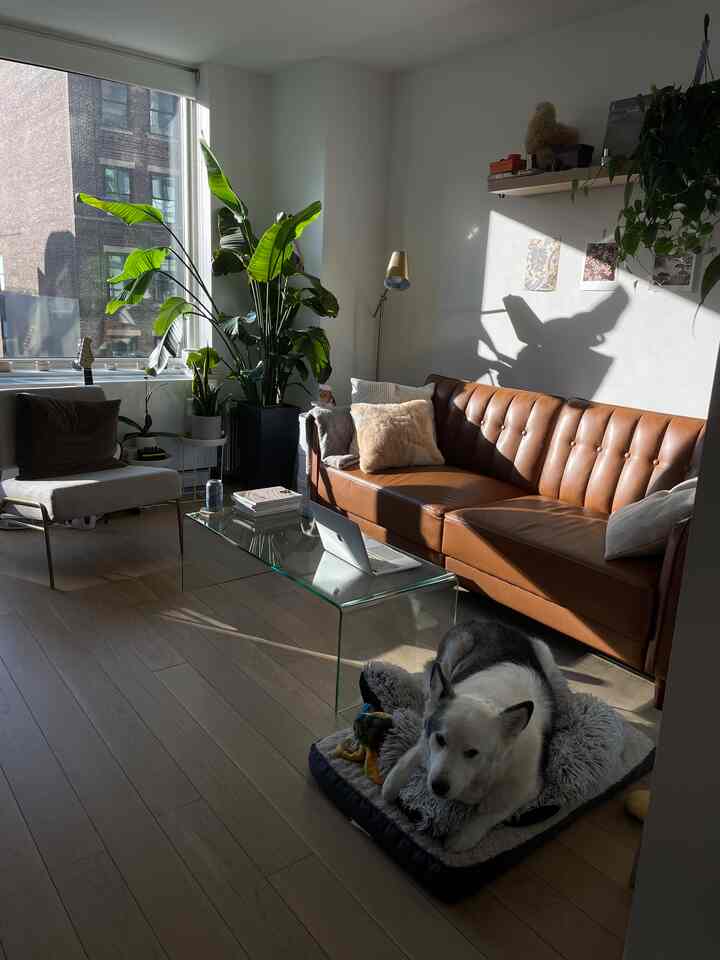 Lovely golden hour ✨ #livingroom #livingroominterior #glasstable 