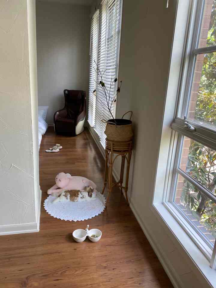 Warm brown wood floor and white walls with a pet bed and brown massage chair beside the window in a cozy living room