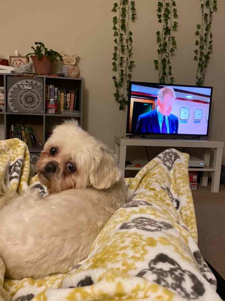 #apartmentinterior #normalinterior 

