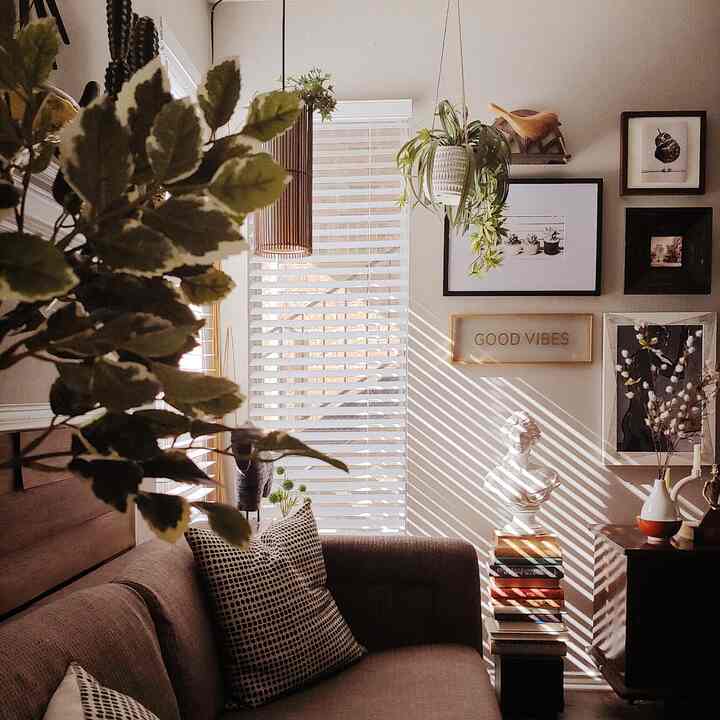 #apartment #plants #goldenhour #afternoonlight  **My Favorite Shots** In these next five posts including this one, I decided that I will highlight my five favorite pics that I took of my apartment. This one is from April 2022. ￼