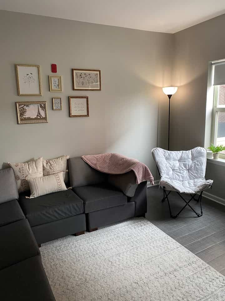 #livingroominterior #livingroom #collegestudent #apartmentinterior #collegeapartment 
