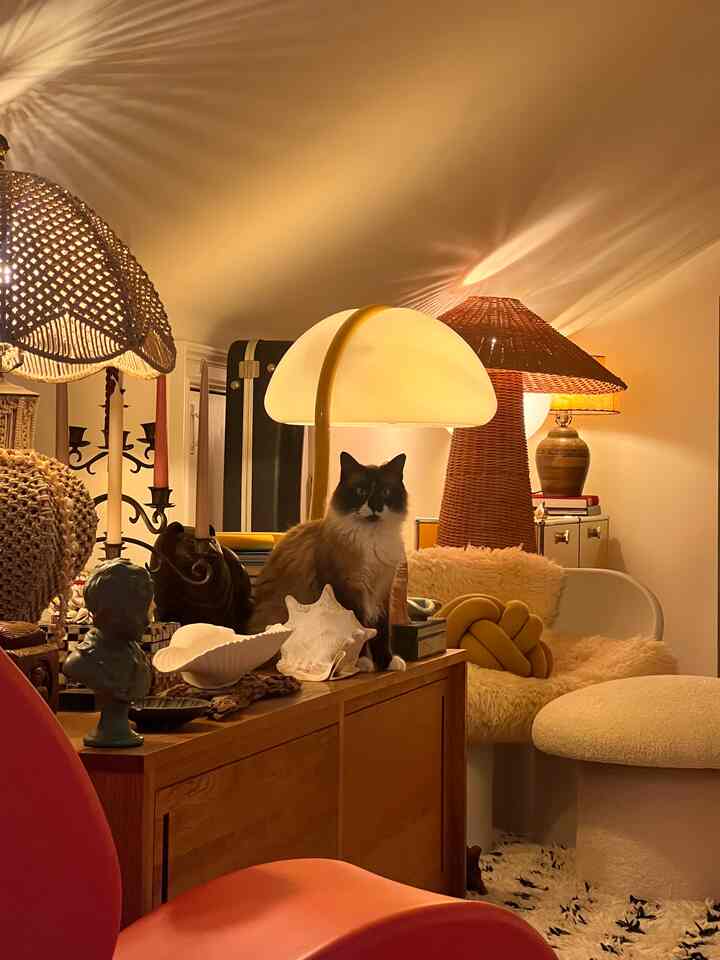 Living the loft life with my purr-fect companions! 🏢🐾 Meet my two adorable Ragdoll cats, who fill every nook and cranny with love and mischief! 😻❤️ Their playful antics and snuggly cuddles make this urban oasis feel even cozier! ✨🏙️ #LoftLiving #RagdollCats #FurryFriendsForever