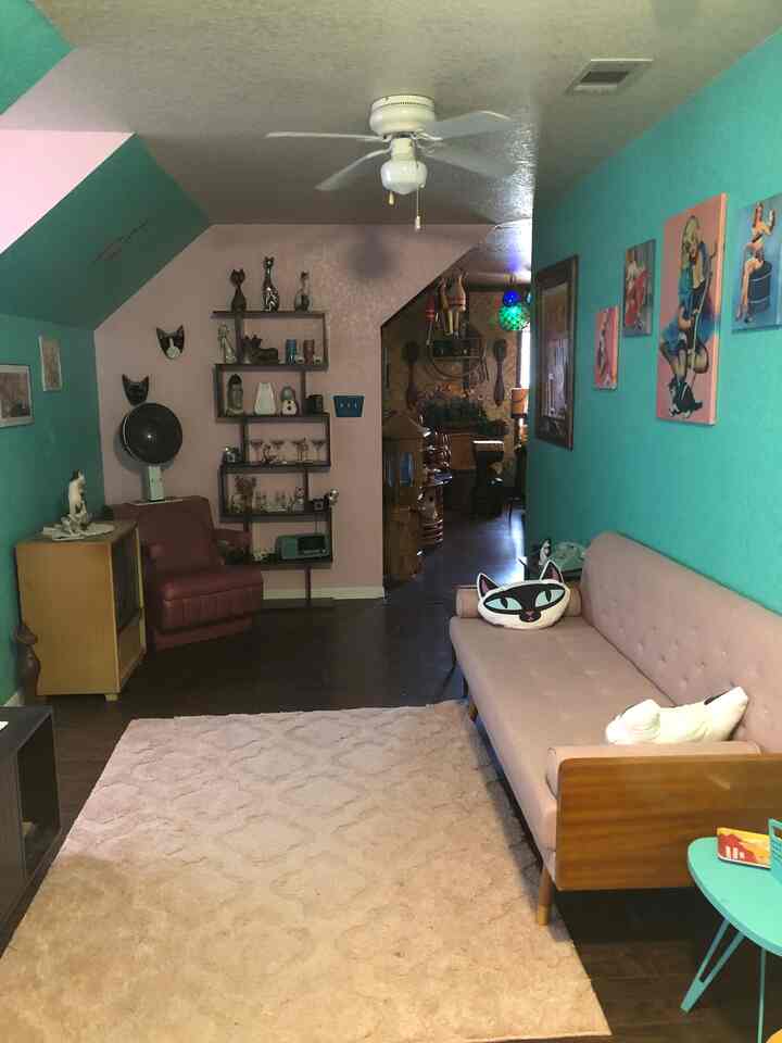Mint-toned narrow mid-century modern living room featuring beige rug, vintage sofa and wall decorations