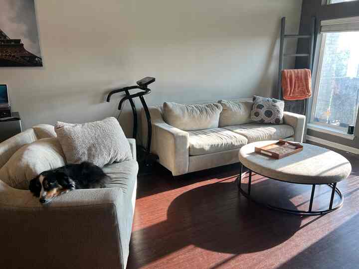 Beige sofas and a round coffee table in a living room, with an orange blanket hanging by the window and a dog resting on the sofa, creating a cozy atmosphere