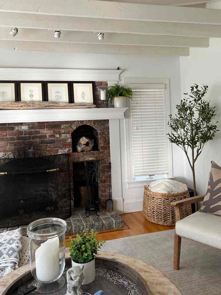 Living room pops of green #livingroominterior #livingroom #artificialtree 