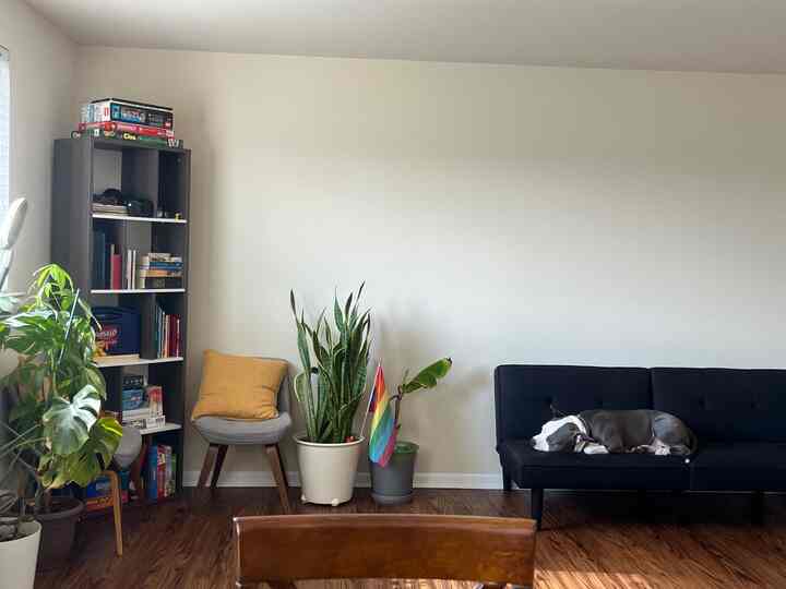 #livingroominterior #target #futon #dog