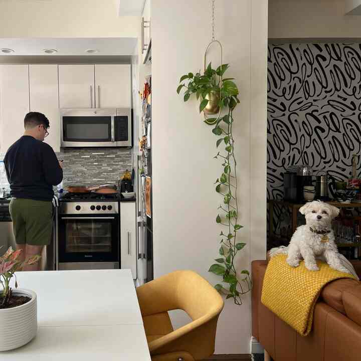 Cozy living space with white walls and kitchen, brown sofa with a yellow chair, and a small dog present on the sofa