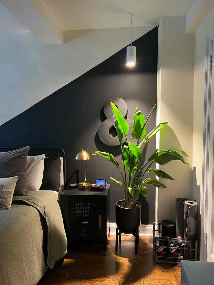 Natural tones and black blend in a bedroom featuring a nightstand with table lamp and a large green plant, creating cozy atmosphere
