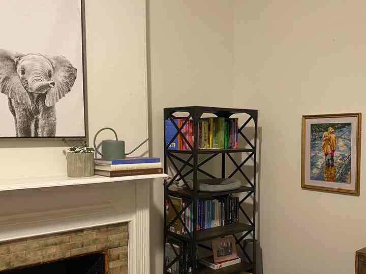 White-toned living room featuring an elephant wall art, framed picture, bookshelf, and pet bed, creating a cozy atmosphere