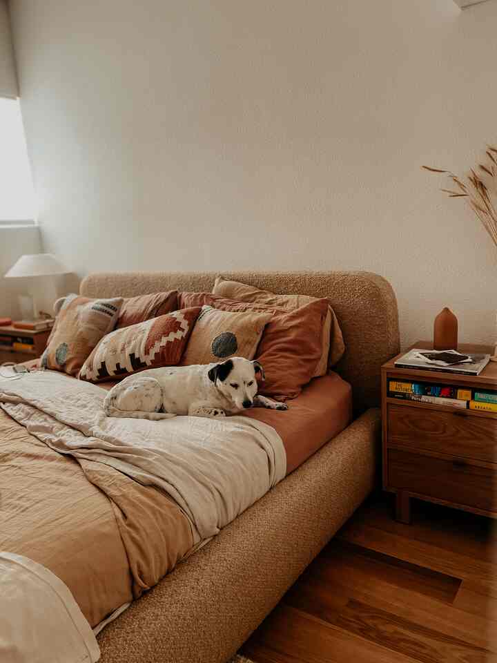 gofrenchyourself's post