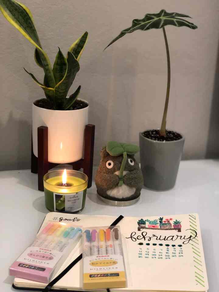 Saya suka membawa boneka Totoro ketika saya membuat jurnal
#stasiun kerja #homeoffice #workspace