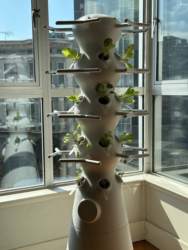 short form carousel card thumbnail