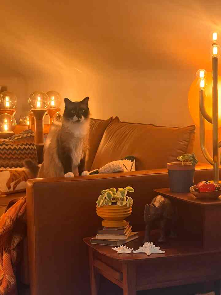 Warm brown and wood-toned loft living room featuring vintage floor lamps and a cat on the sofa in a cozy setting