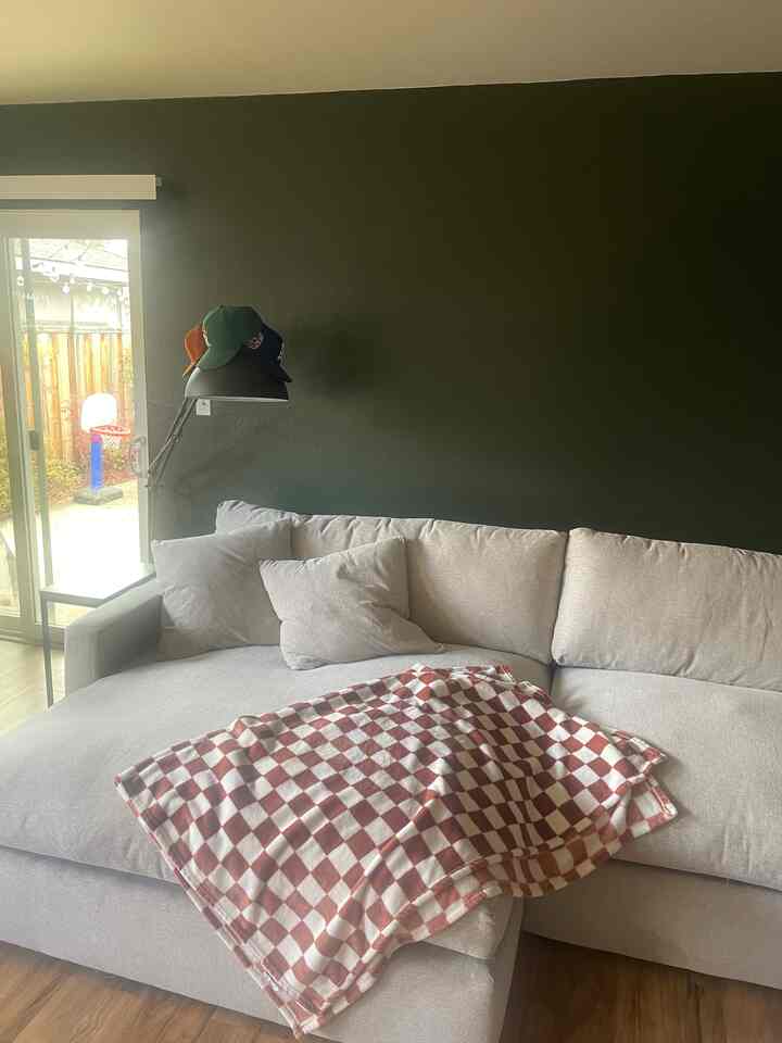Living room with dark wall and gray sectional sofa featuring a checkered blanket draped atop