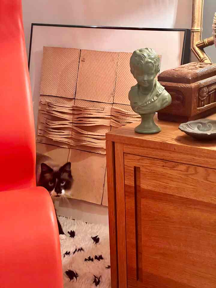 Warm-toned interior with a brown wooden cabinet and red chair featuring a cat peeking nearby