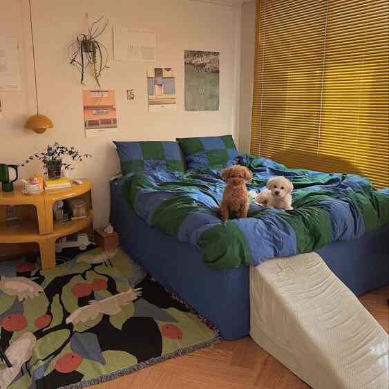 saya suka memiliki warna-warna berani di kamar saya! bikin seru banget LOL #blue #green #yellow #bedroominspo #dogs