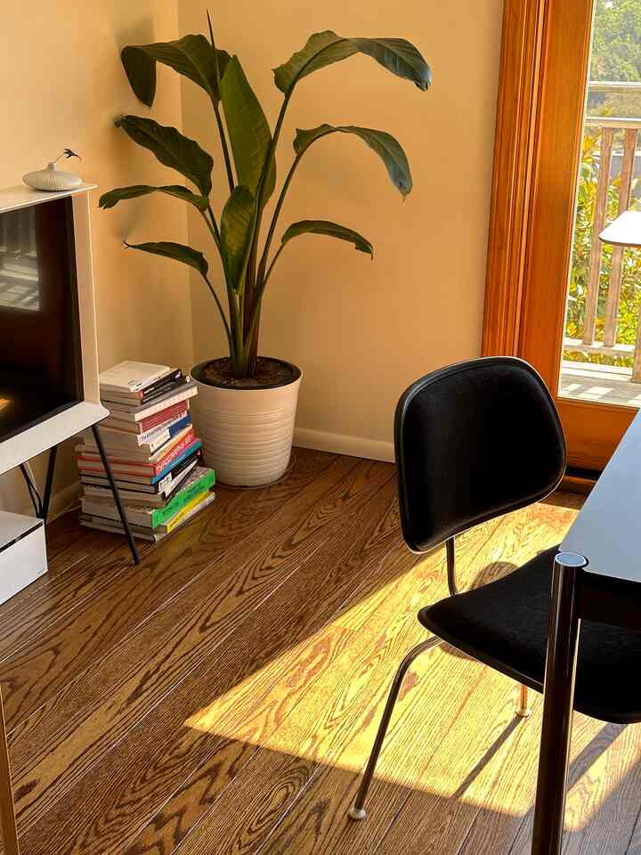 Sunlight ☀️🌞

#midcenturymodern #samsung #usm