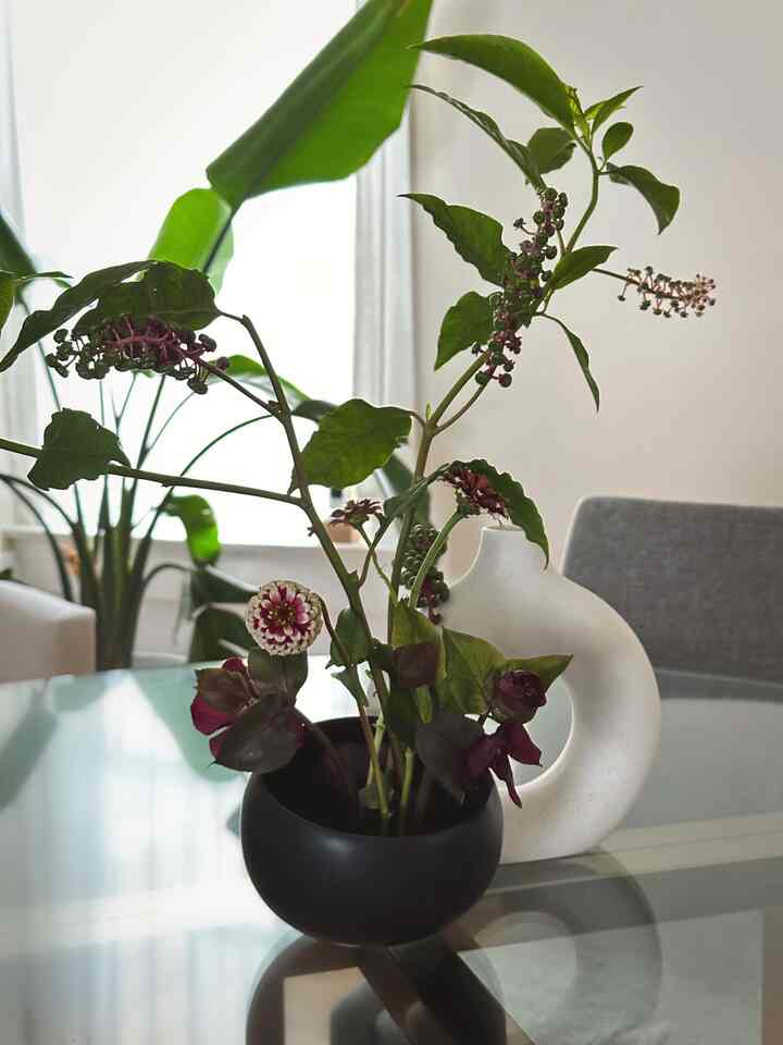 Recently learned about ikebana and am now obsessed 😌🌸 #diningroom #diningroominterior #plants #ikebana #plantinterior #plantdeco 