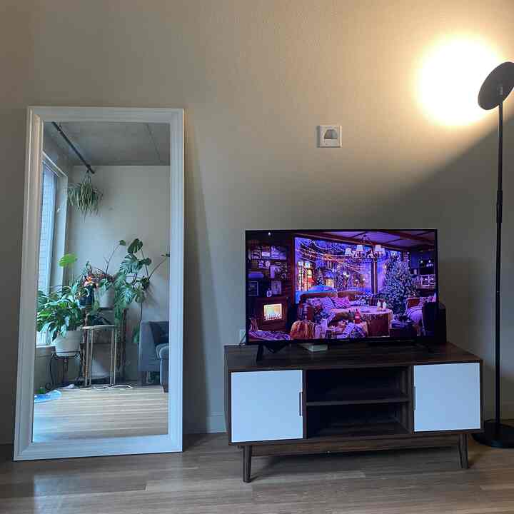 Wood tone flooring and white walls with TV stand, large mirror, and floor lamp arranged in a simple living room