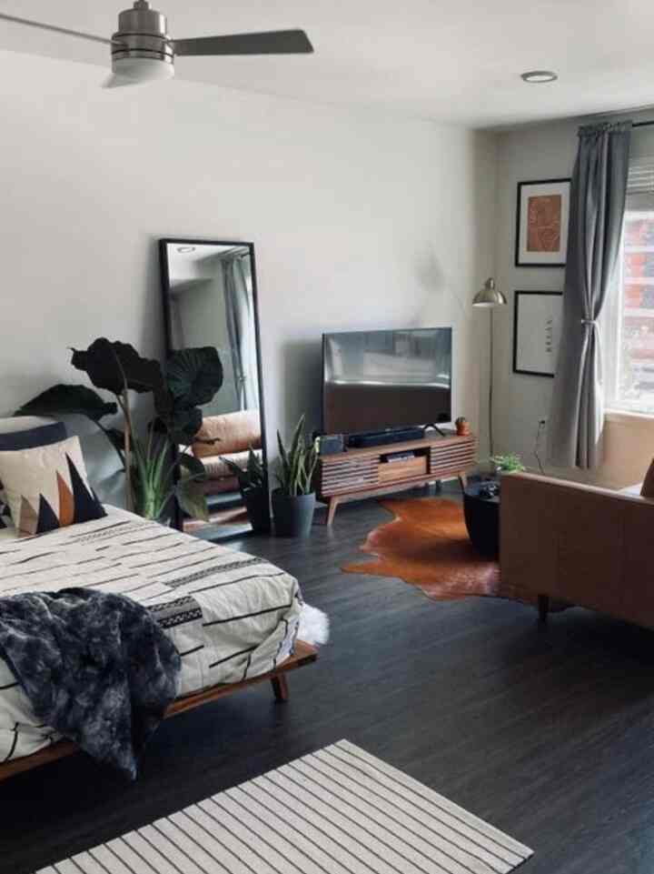 Natural modern living and bedroom space with dominant black and brown tones, featuring a TV stand, full-length mirror, cozy sofa and rug