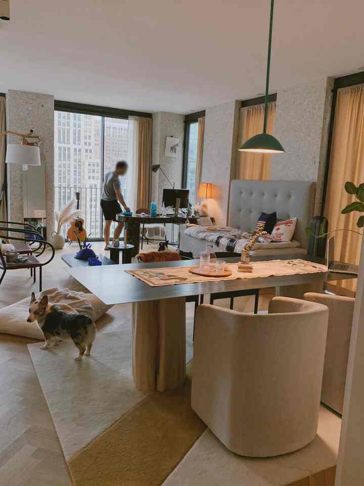 Light brown and wood tone living room with diverse furniture and pet dogs, featuring a natural modern interior