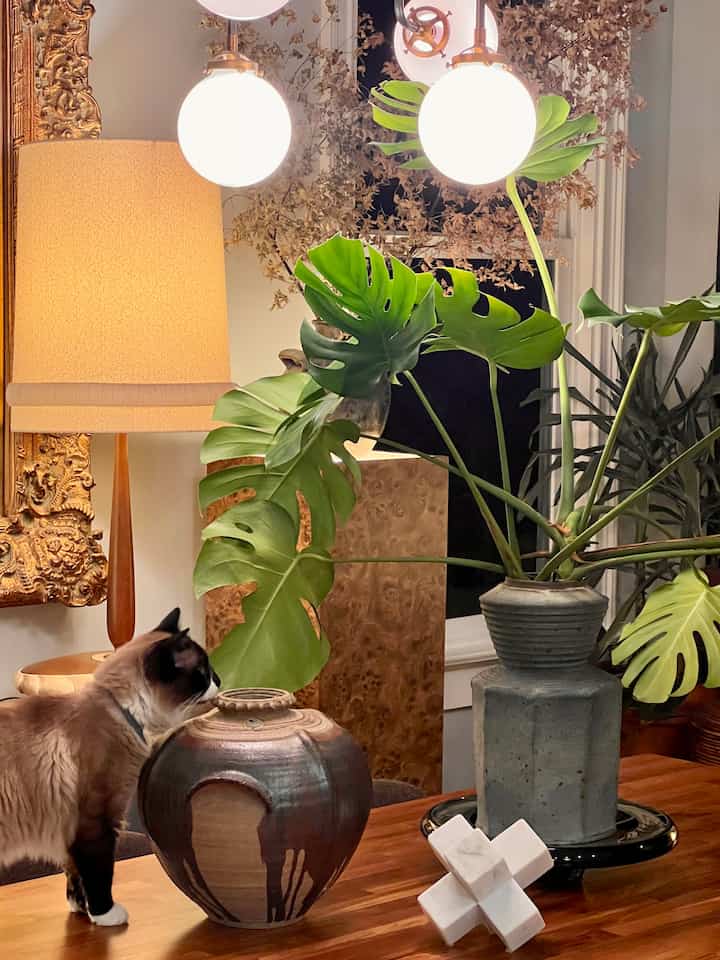 <span data-sheets-root="1" style="color: rgb(0, 0, 0); letter-spacing: normal; font-size: 10pt; font-family: Arial;">Been slowly adding to this corner over time. It's a work in progress, but I'm loving how it's evolving. #indoorplants #decorinspiration</span>