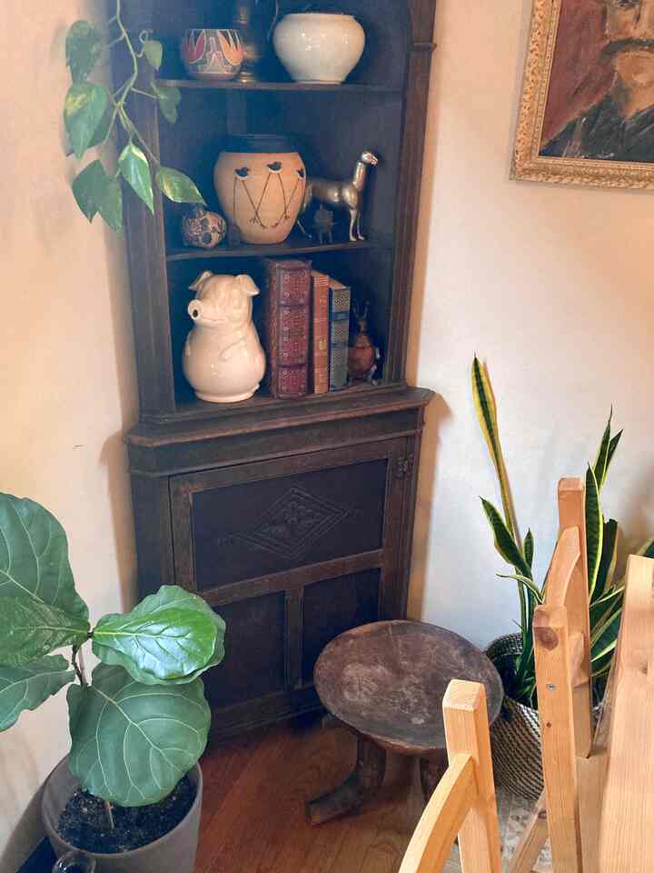 Living room corner featuring a wood-tone storage cabinet, natural potted plants, and vintage decor elements creating a cozy atmosphere