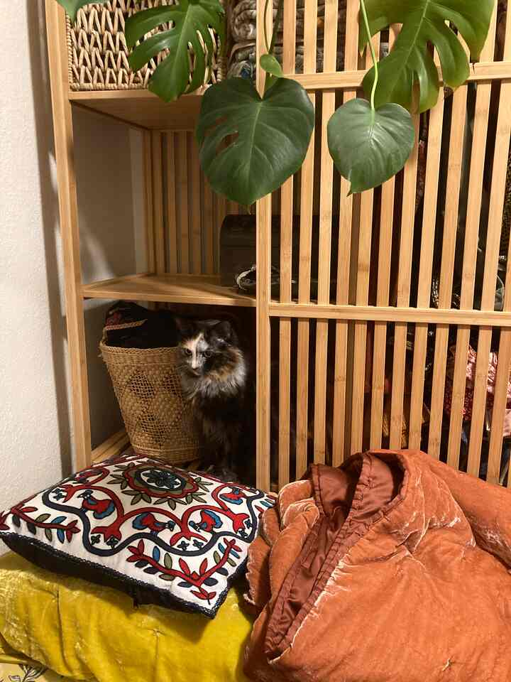 Tagged posts featuring NORDKISA Open wardrobe 3