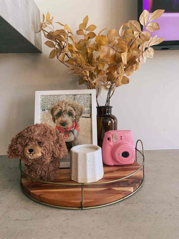 Natural brown-toned living room tray featuring a dog plush, framed photo, candle, and decor items creating a cozy atmosphere