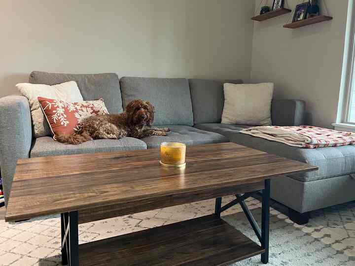 Gray-toned living room featuring a large sectional sofa, wooden coffee table, a pet dog, and warm orange accent decor creating a cozy atmosphere