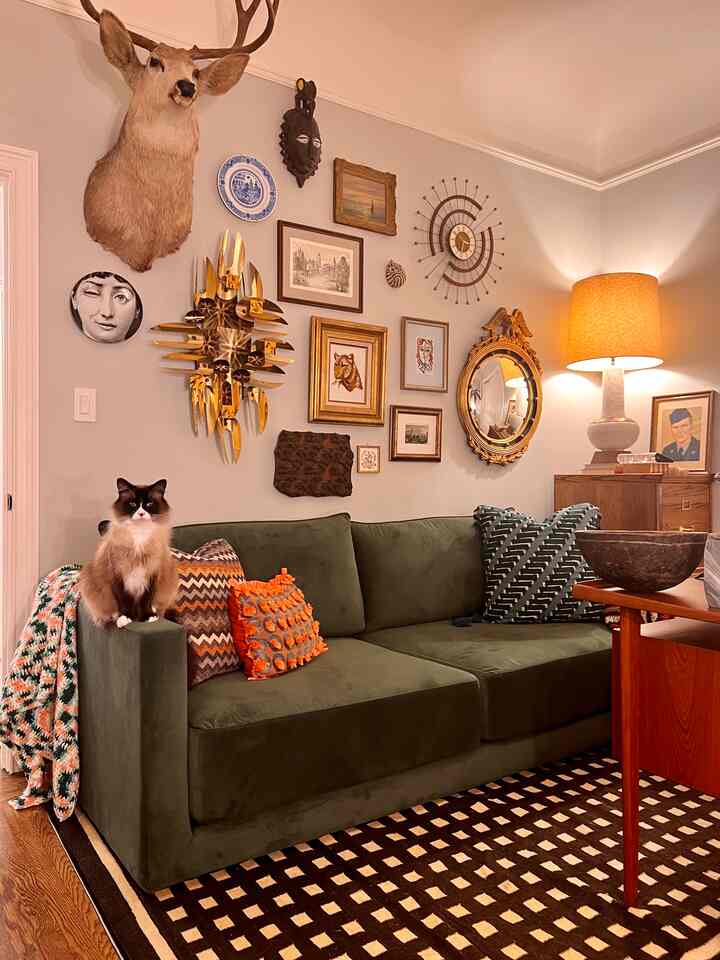 Natural-colored living room with olive green sofa featuring a cat perched on the armrest and a wall decorated with assorted art and ornaments, creating a cozy atmosphere