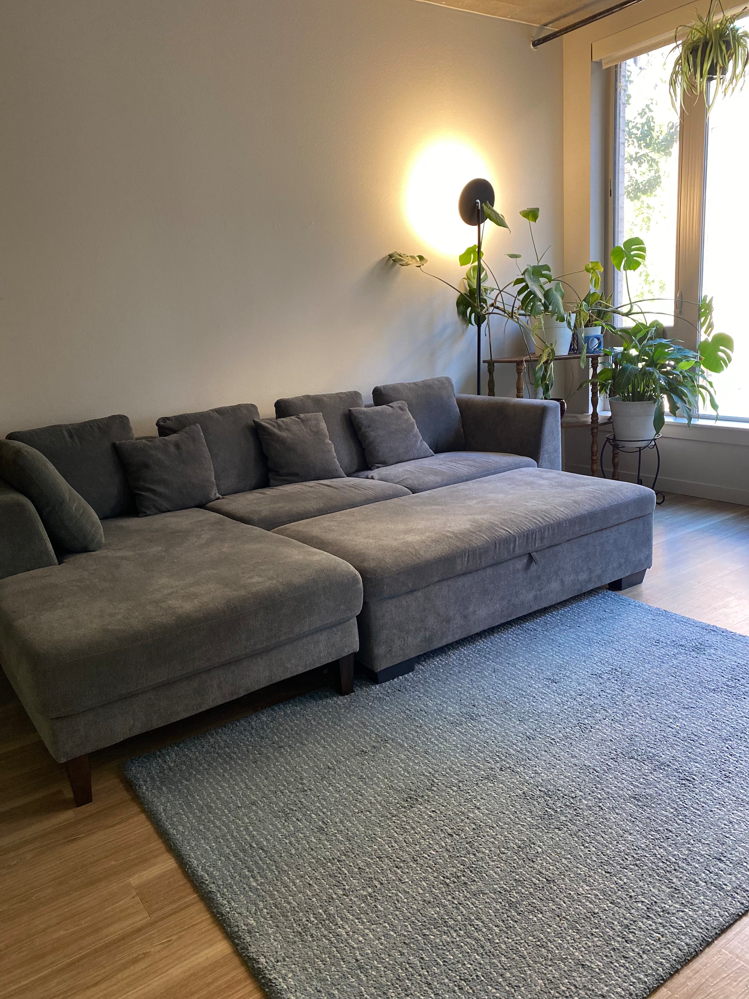 IKEA LANGSTED Rug | Rugs | Ohouse