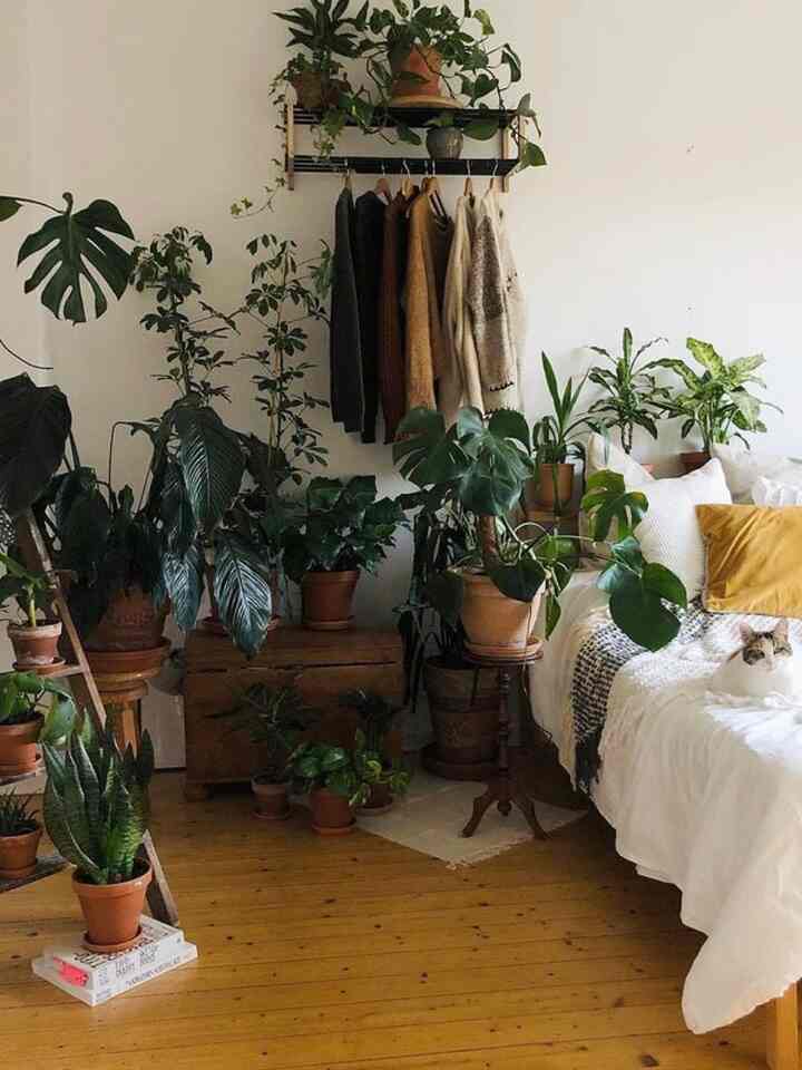 White and wood-toned bedroom featuring various potted plants and clean bedding, creating a natural atmosphere