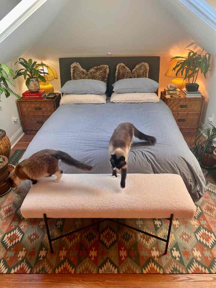 Natural toned bedroom featuring a central bed with a beige bench, two cats, and plants creating a cozy atmosphere