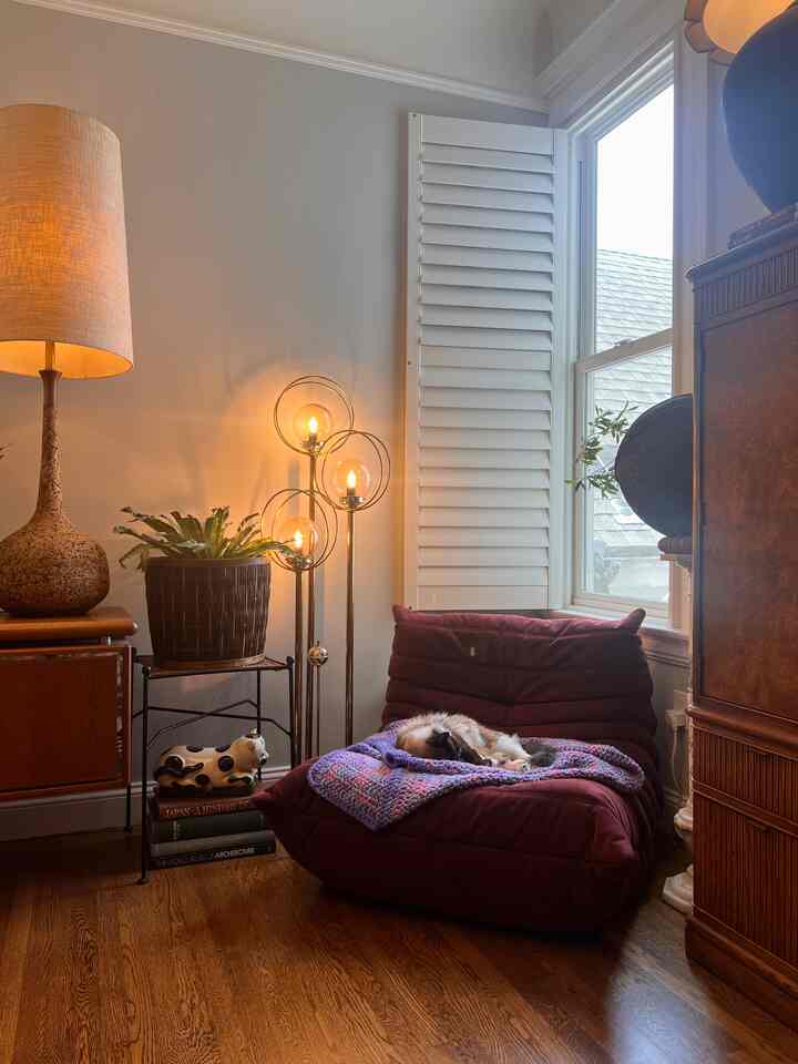 Warm natural-toned living room featuring a comfy armchair with a cat resting, creating a cozy atmosphere