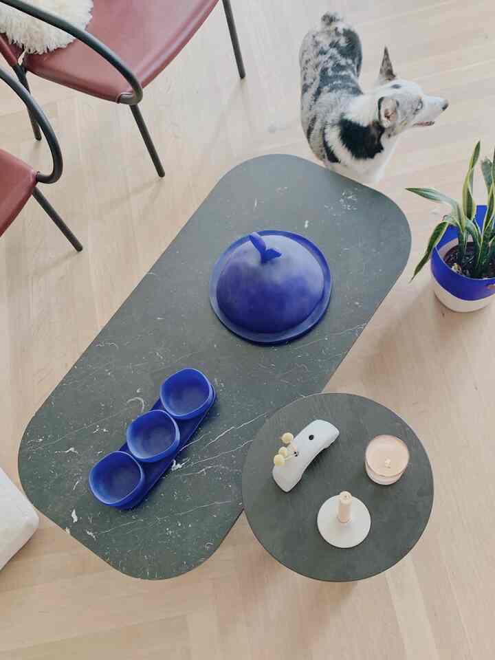 A cozy dining space with black marble coffee tables and red chairs on wooden flooring, featuring a dog