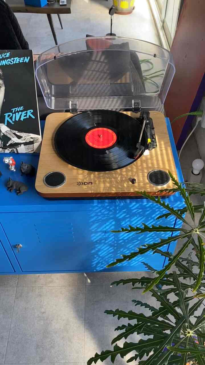 Bright blue console table with analog record player on top and green plant on right in a studio apartment space