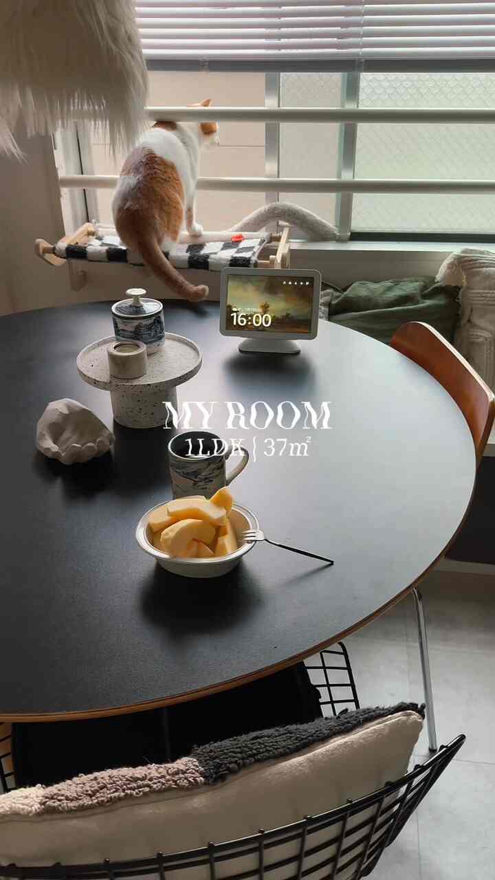 #ダイニングルーム
#ダイニングルームインテリア
#猫と暮らす
#myroom
#diningroom
#一人暮らし