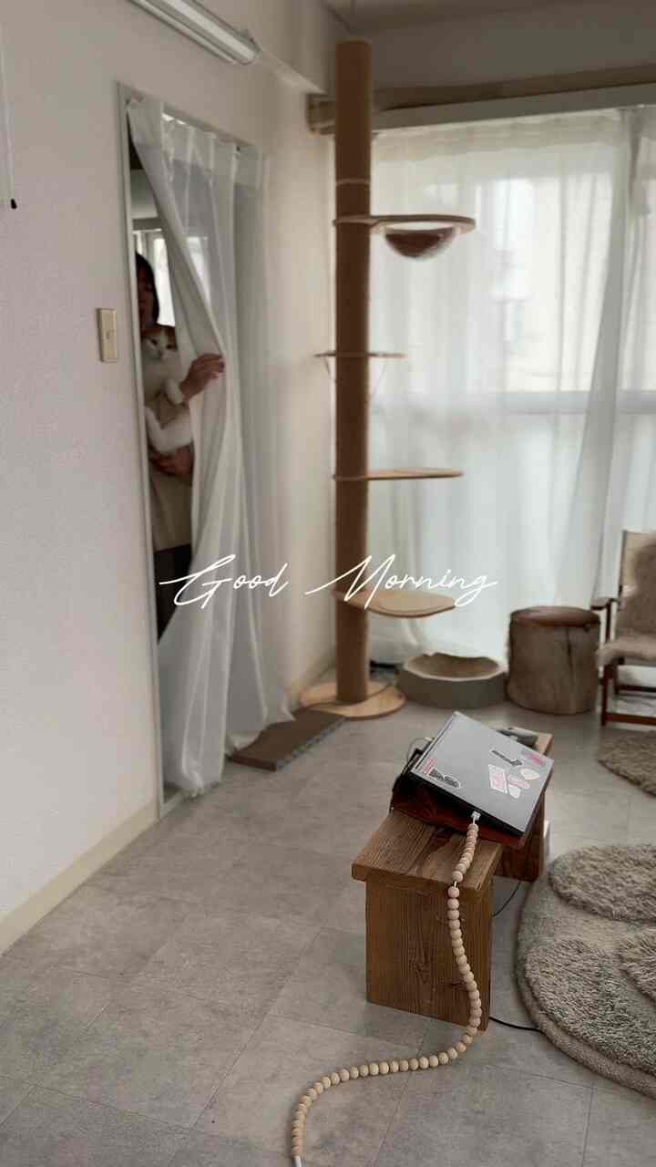 #モーニングルーティン
#一人暮らし部屋 
#一人暮らし 
#リビング 
#リビングルーム 
#1LDK 
#猫と家 
#猫とインテリア
#猫と暮らす
#一人暮らしインテリア 